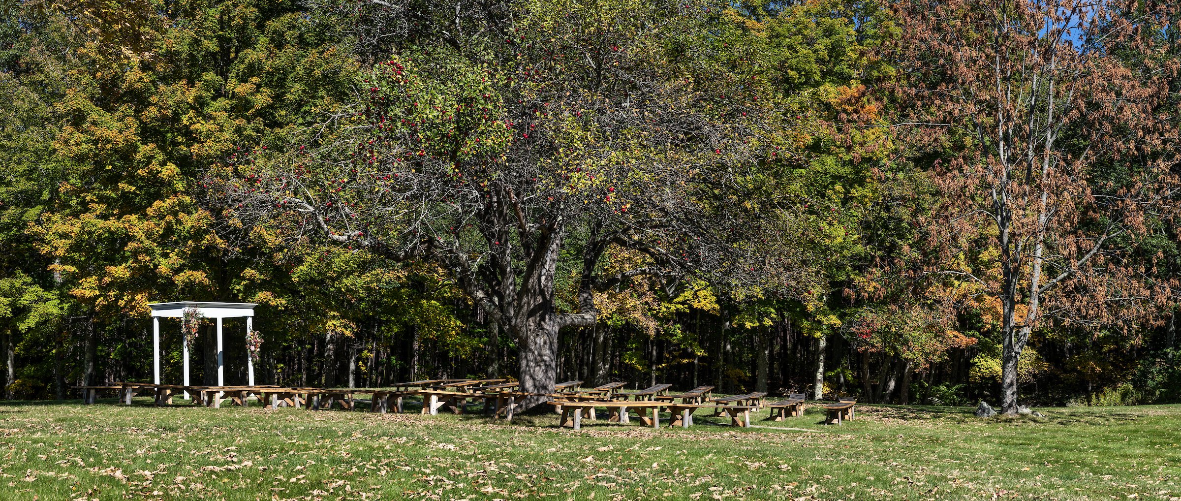 arbor-pano.jpg