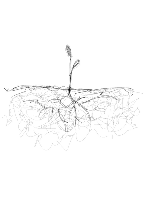 Untitled design (1).png