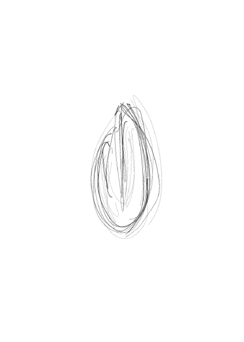 Untitled design (2).png