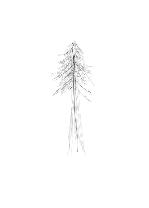 Untitled design (4).png