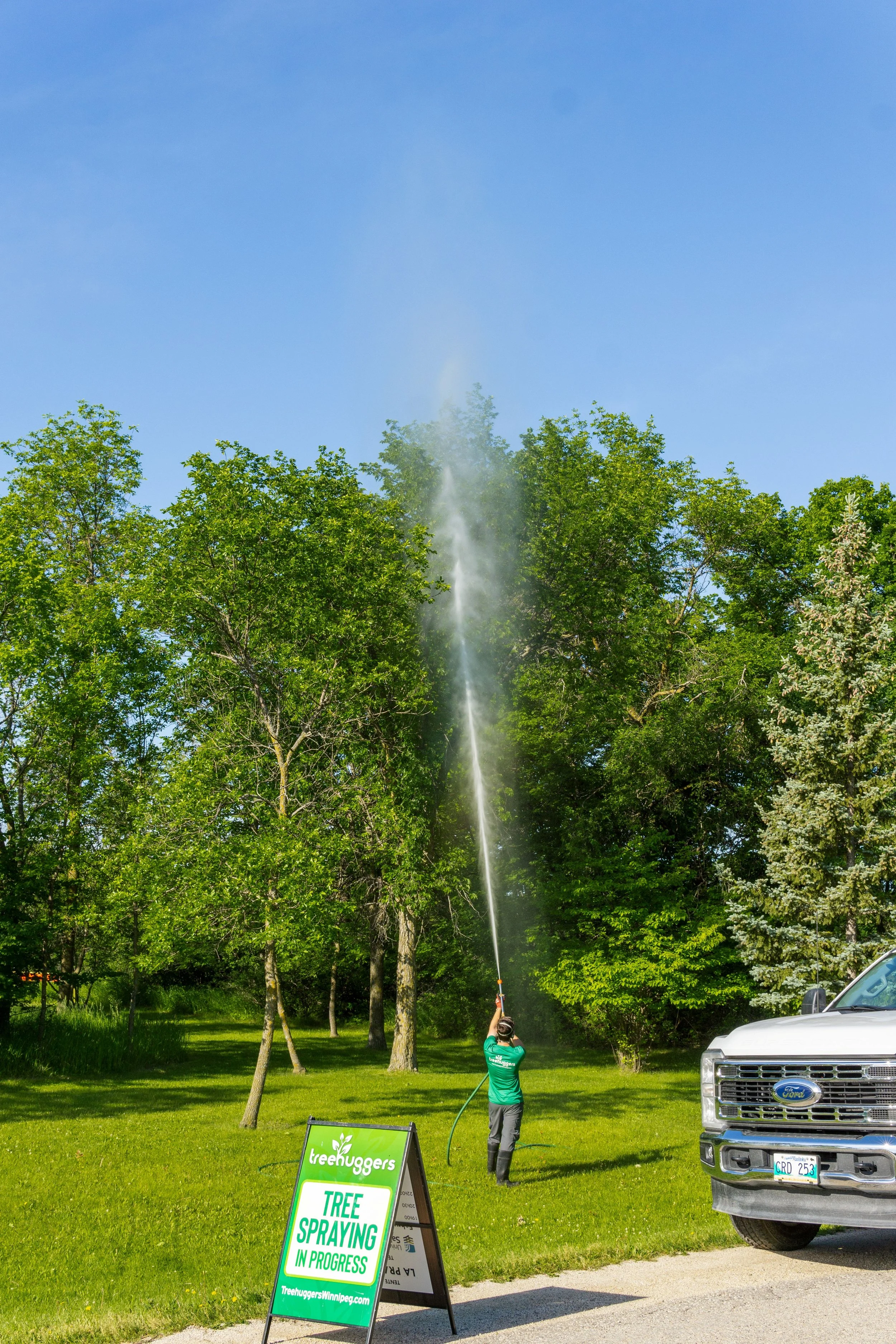 A person in a green shirt spraying a tree with a hose in a park or yard with green grass and trees, a quick spray stand with a sign that says 'Tree Spraying in Progress', and a professional truck parked nearby.