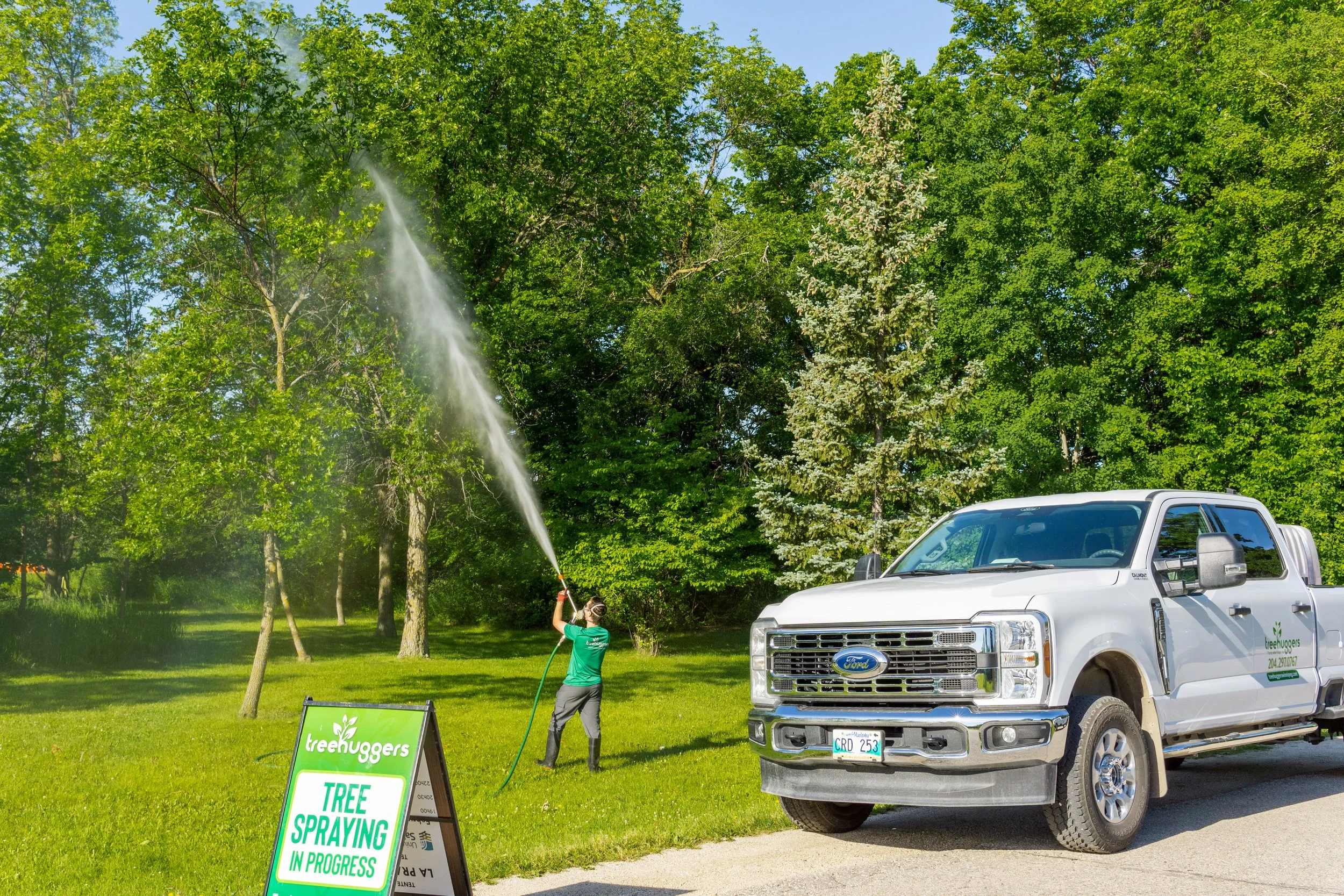 A person watering trees in a park, with a truck parked nearby. Signs indicate ongoing tree spraying in progress.