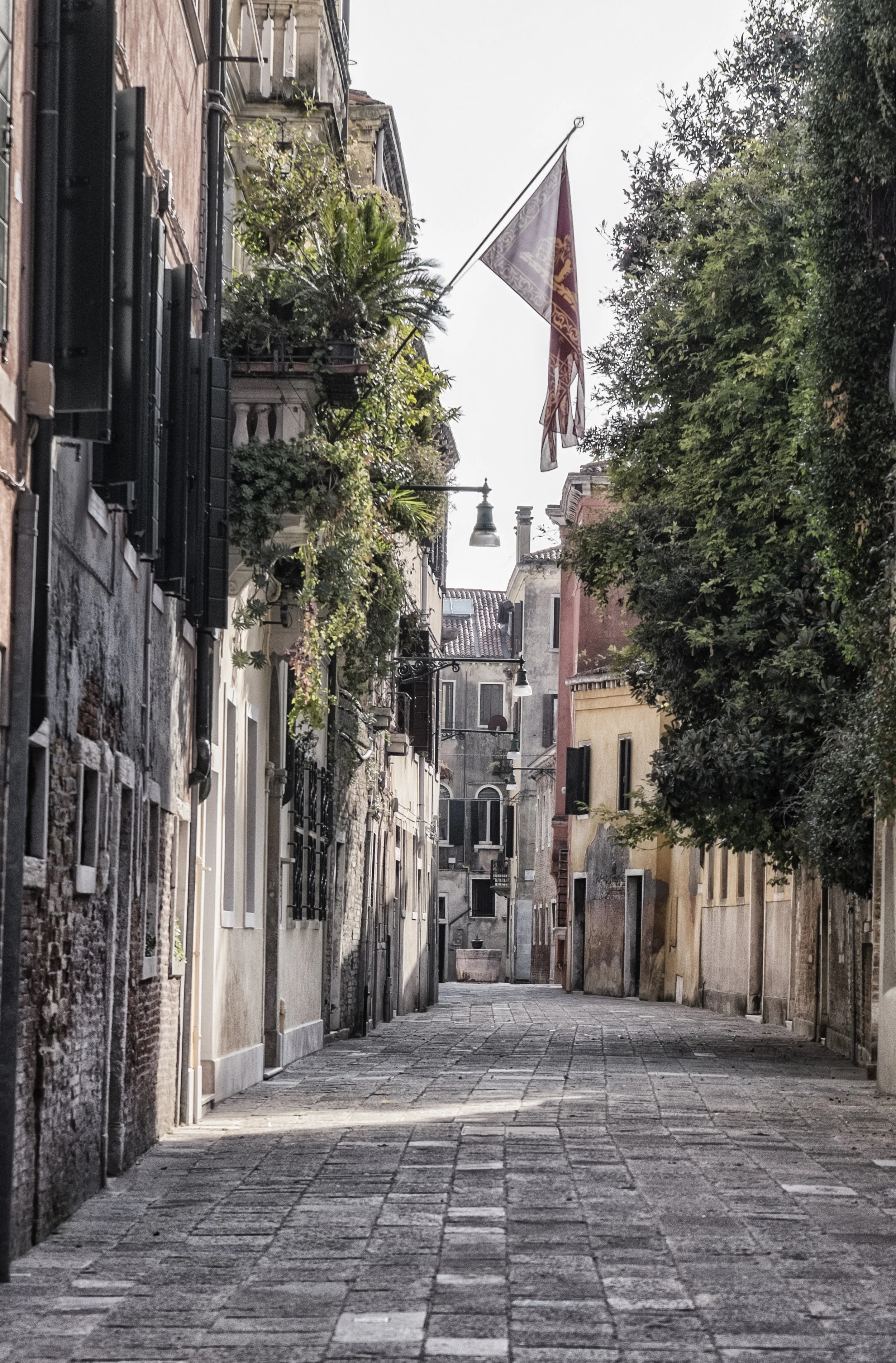 Venice.Alley.Flag.jpg