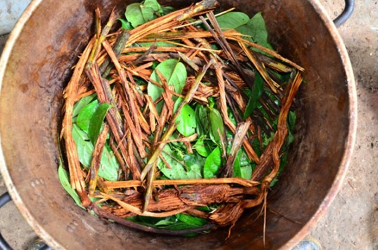 ayahuasca-drogas-psicodélicas.jpg