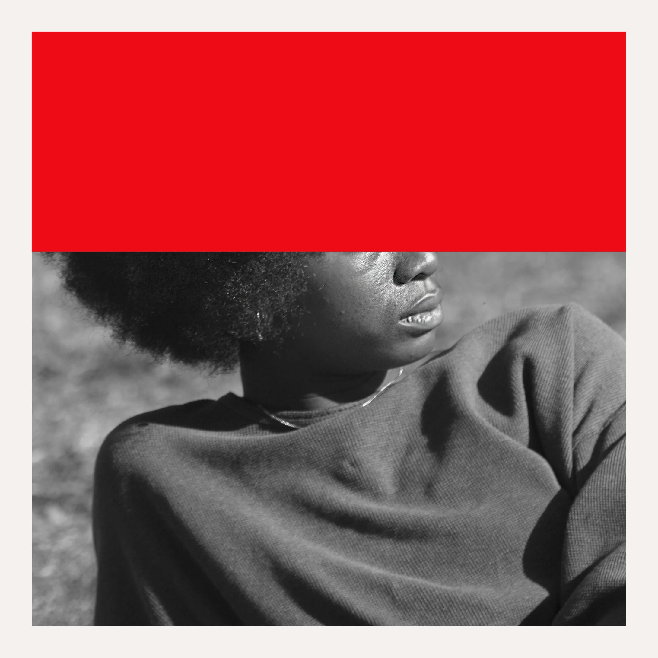 _37A2964-1manip copy copy.jpg