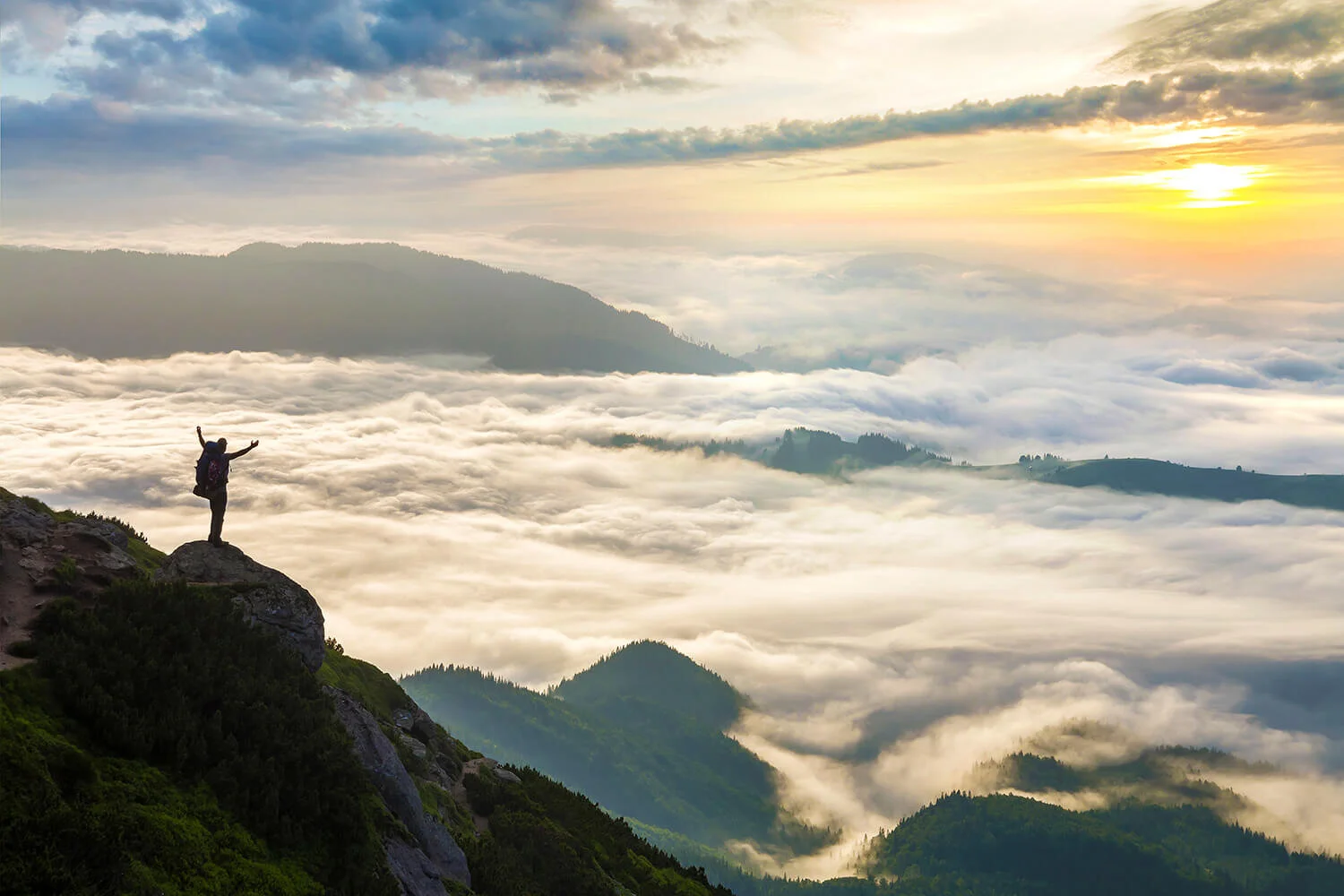 Nature's Guide to Biophilic Design in Healthcare — Etactics