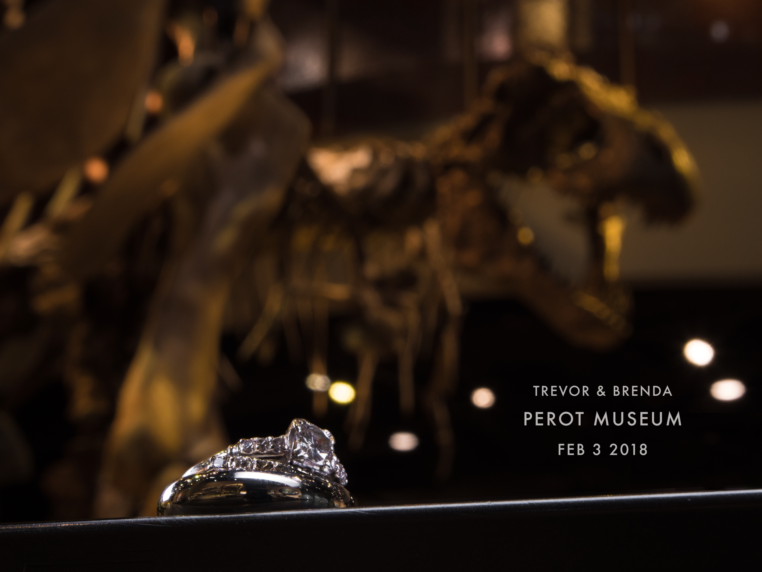 Perot Ring Shot.png