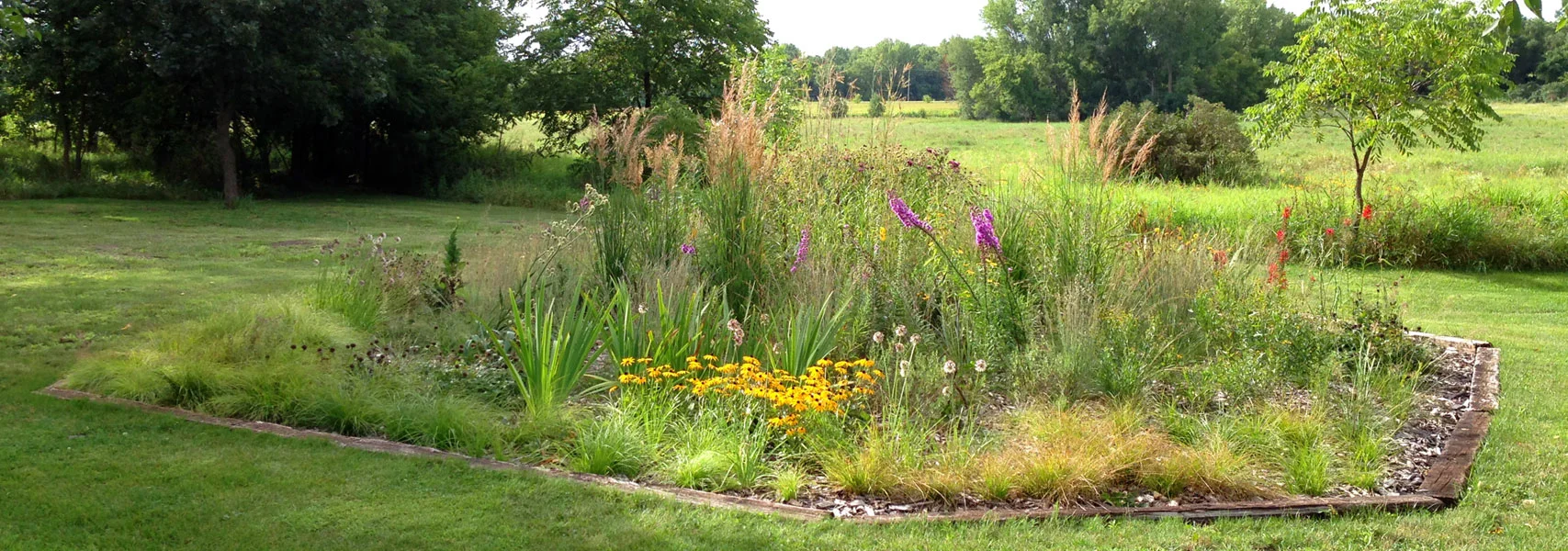 Photo: Blazing Star Gardens