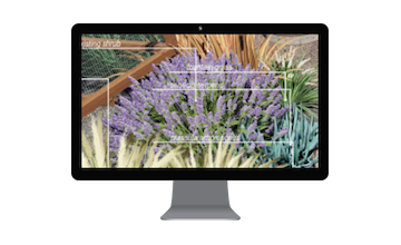 Work with a professional designer. (45).png