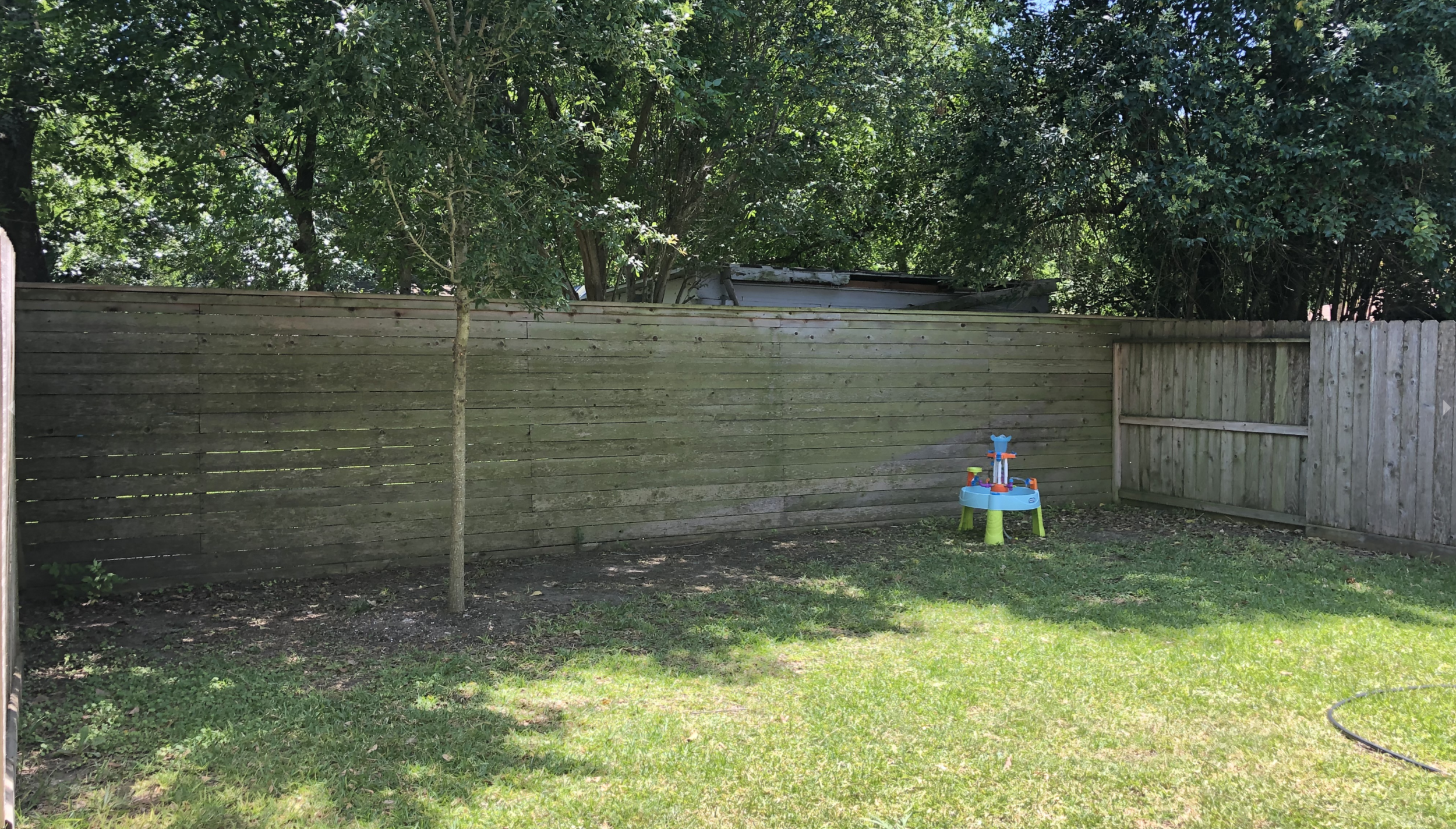 “Before” of the backyard
