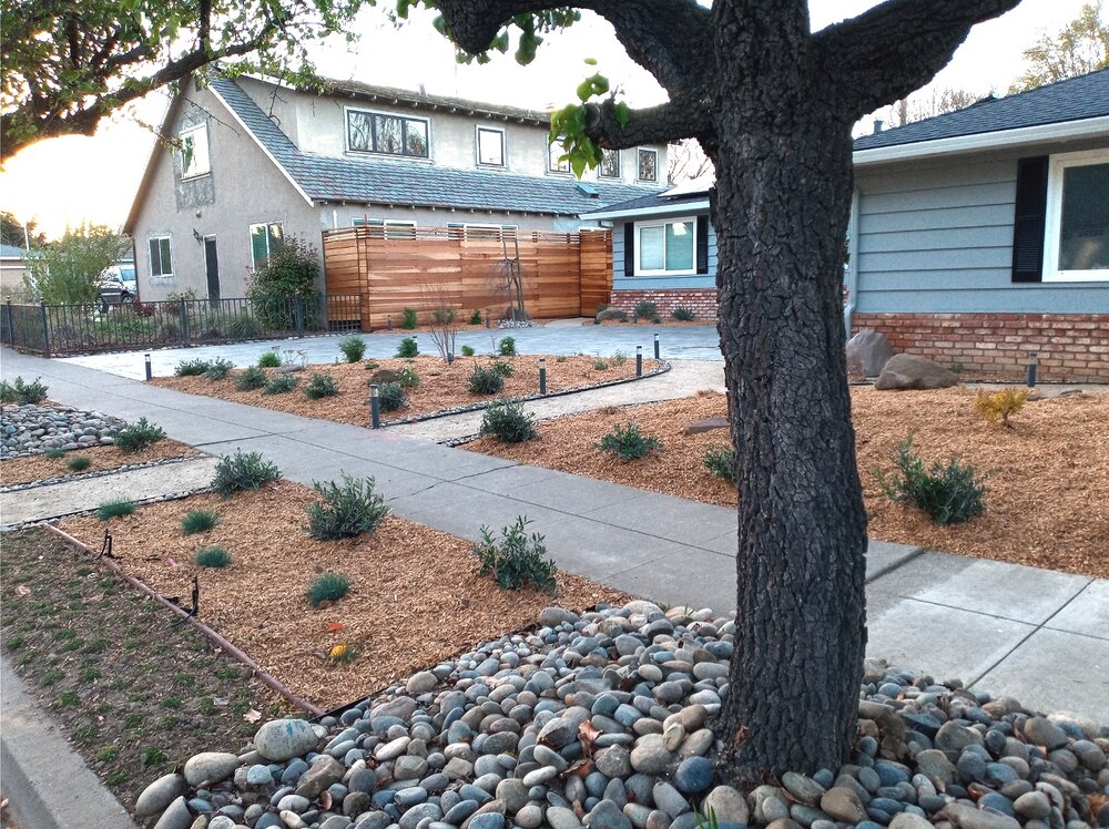 Grass Alternatives For An Eco Friendly Yard Yardzen Online Landscape Design