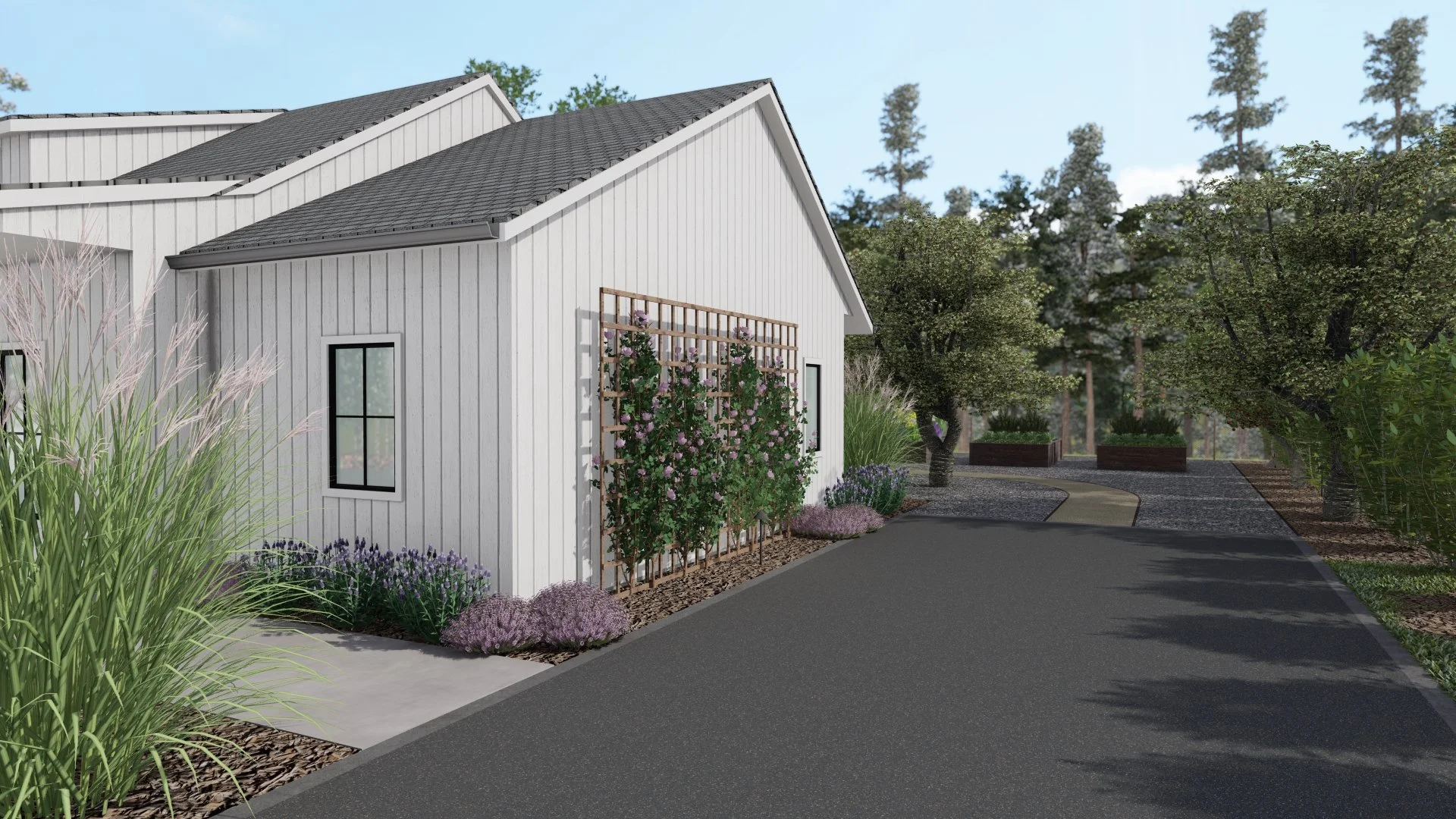 Pink roses growing up wooden trellis in Oregon back yard