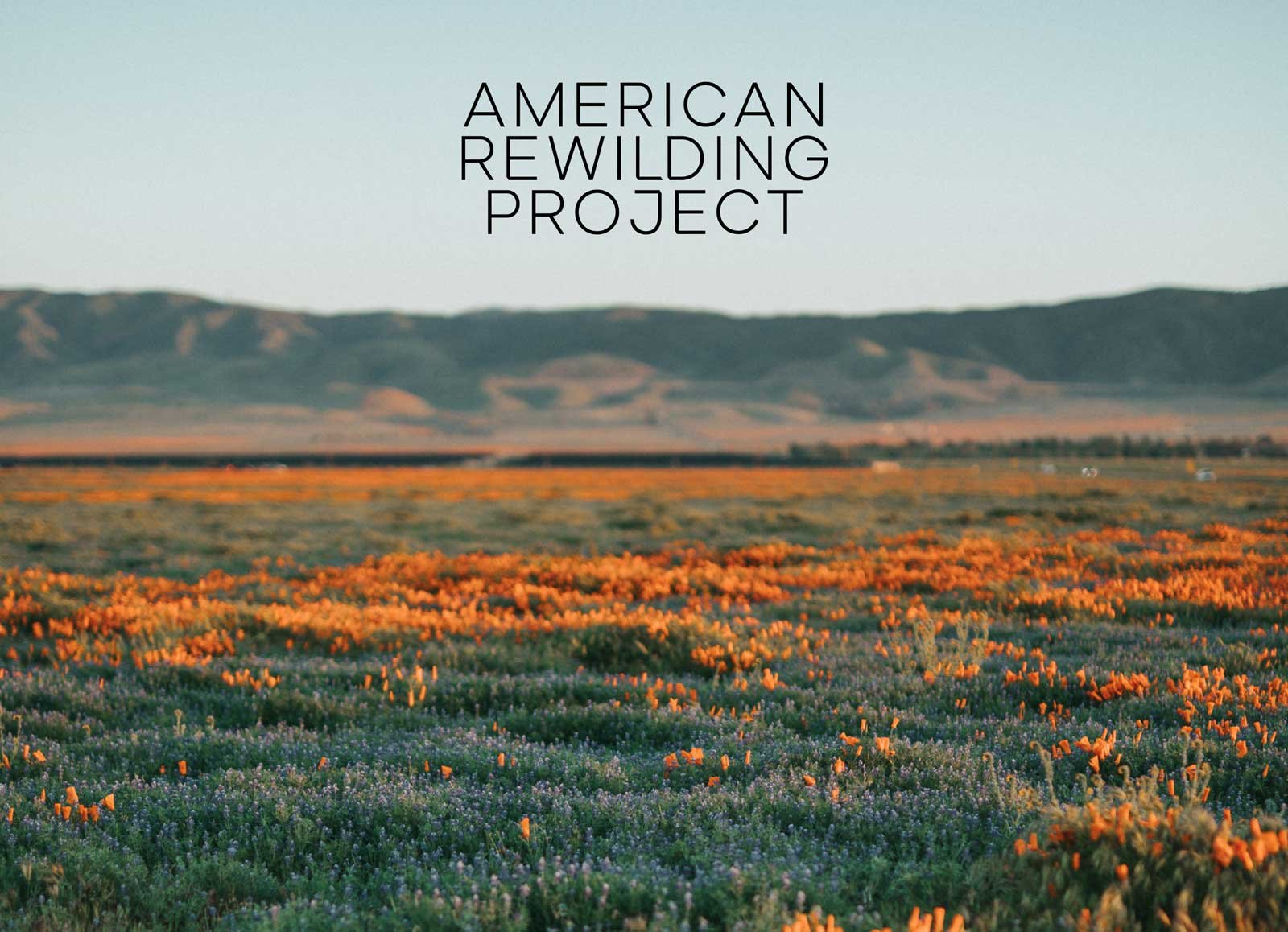 American Rewilding Project yardzen.com