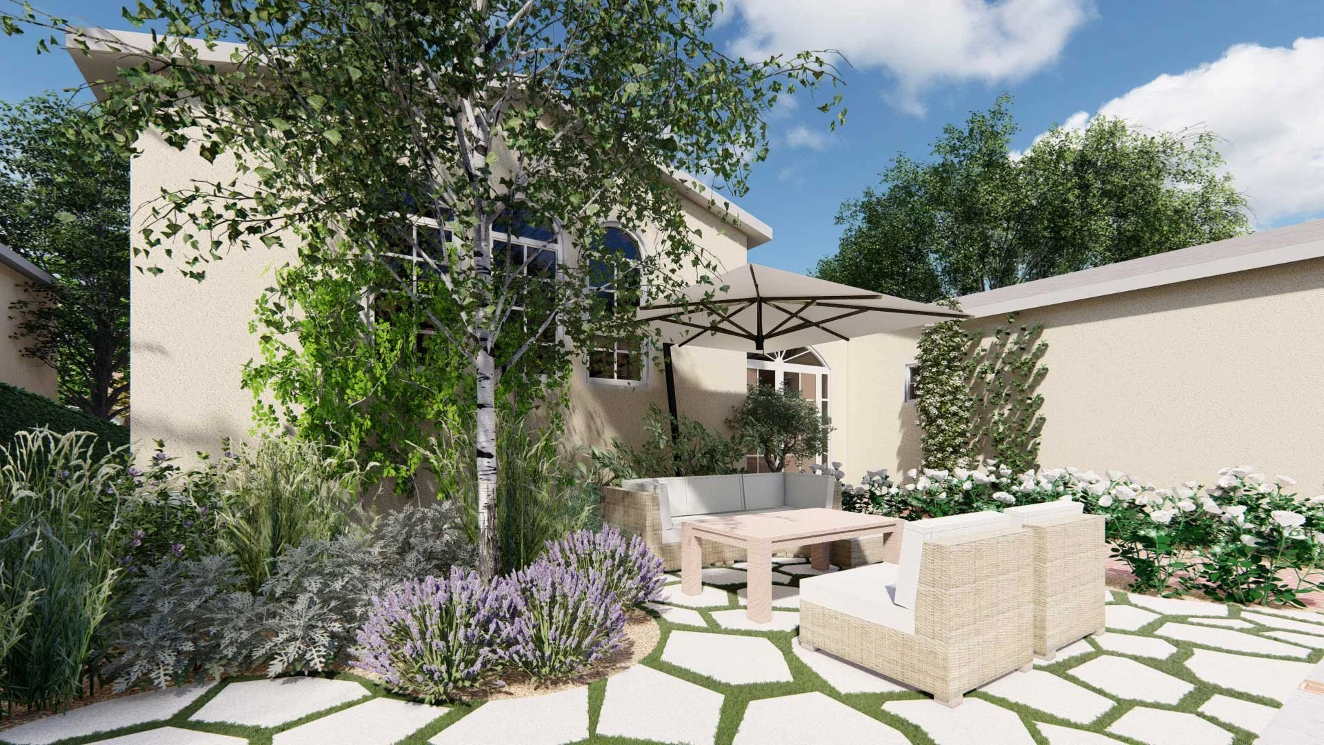 White Lady Banks Climbing Rose and Hybrid Tea Rose in Los Angeles, CA back yard