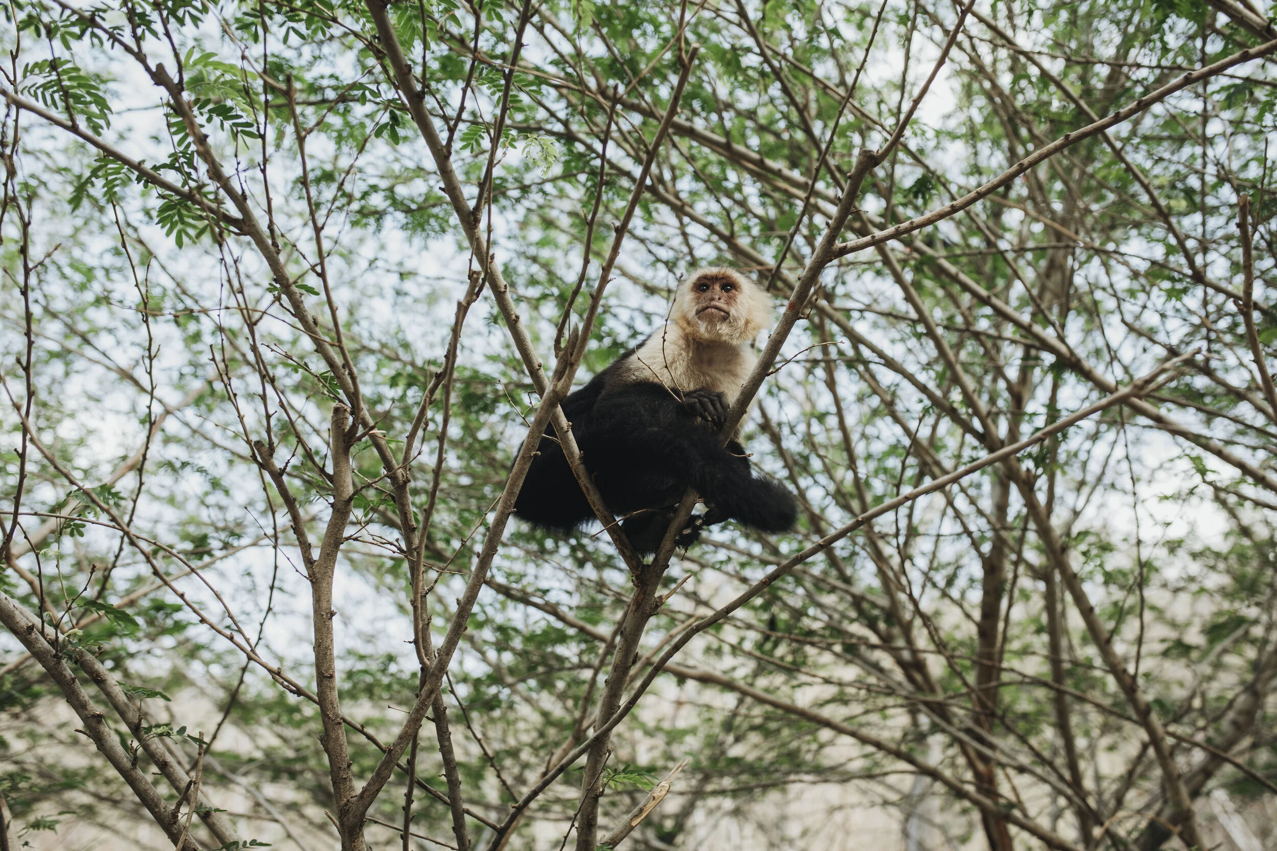 Costa Rica | My beautiful adventure