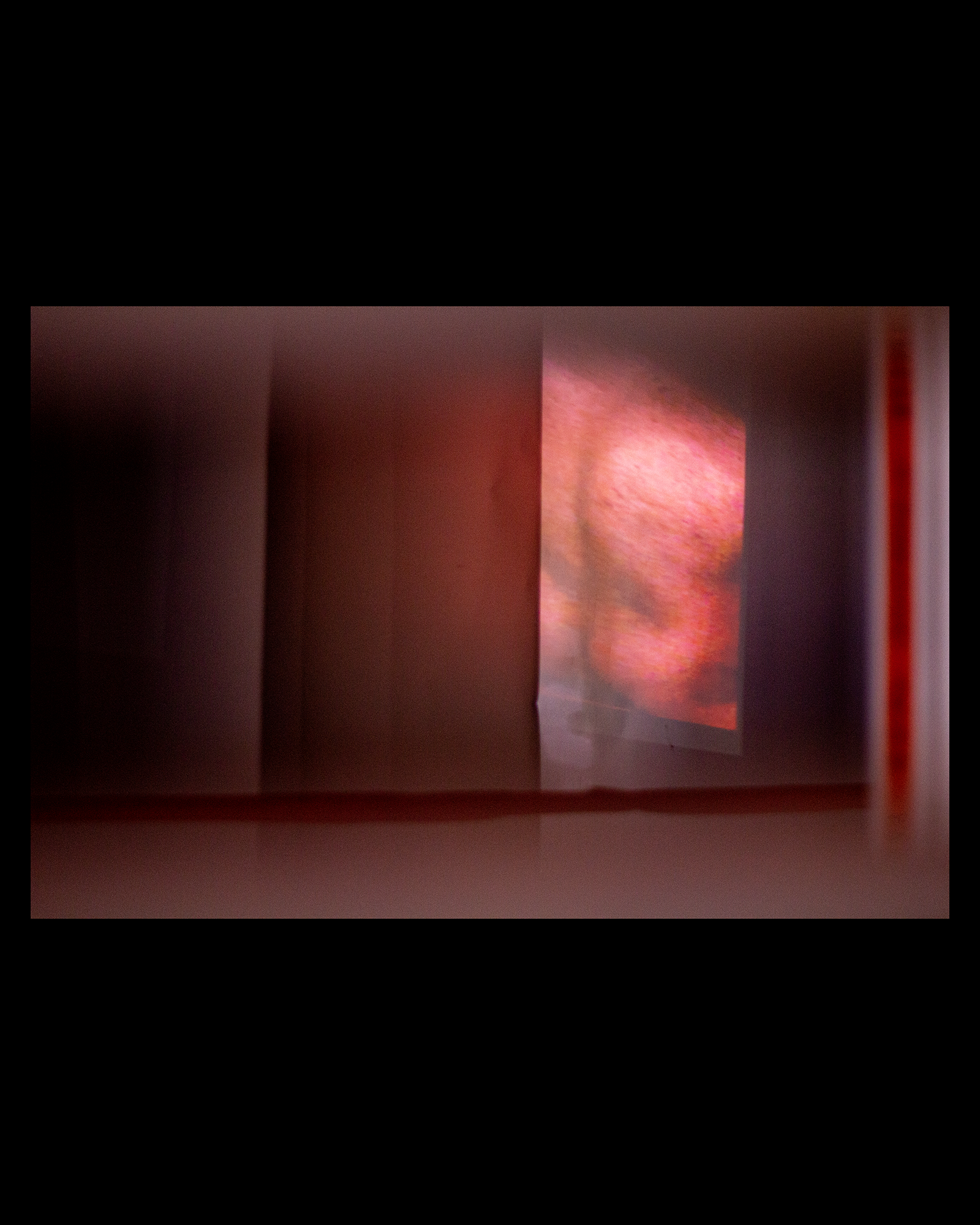_MG_4341.png