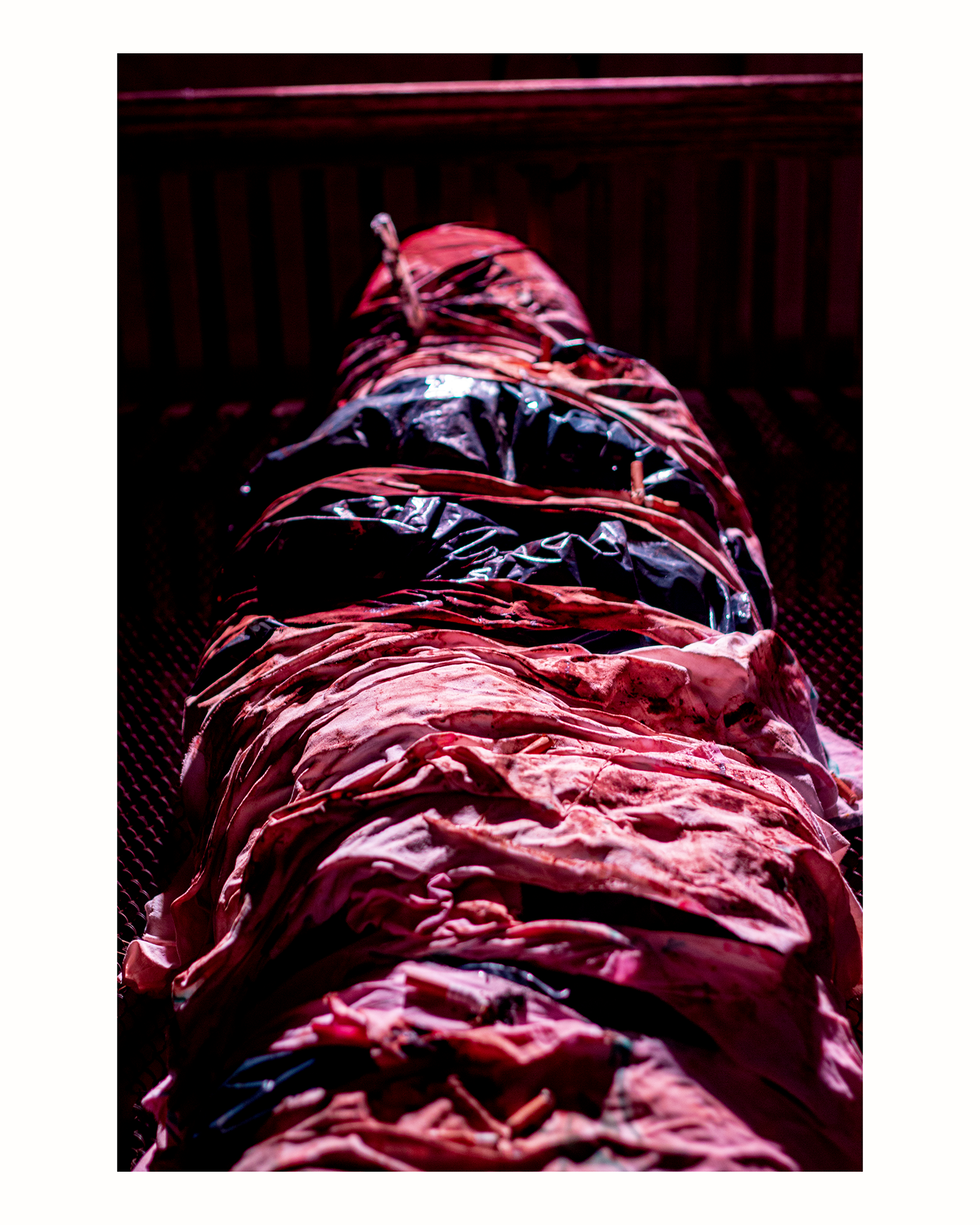 _MG_4396.png