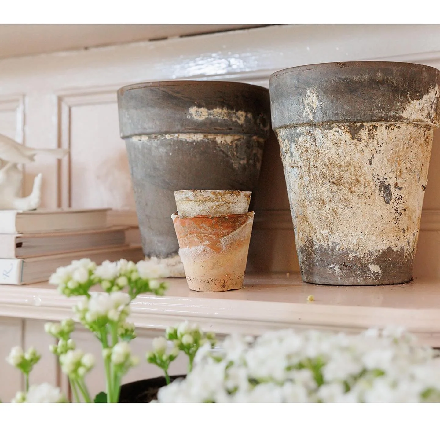 Freshly swept porch steps, fragrant magnolia drifting on the breeze, sun baked shoulders.

Cool, shadowed ankles tucked into open-toed shoes. 

Patios spilling over with laughter, windows thrust open with a metallic squeak that sounds like Winter&rsq