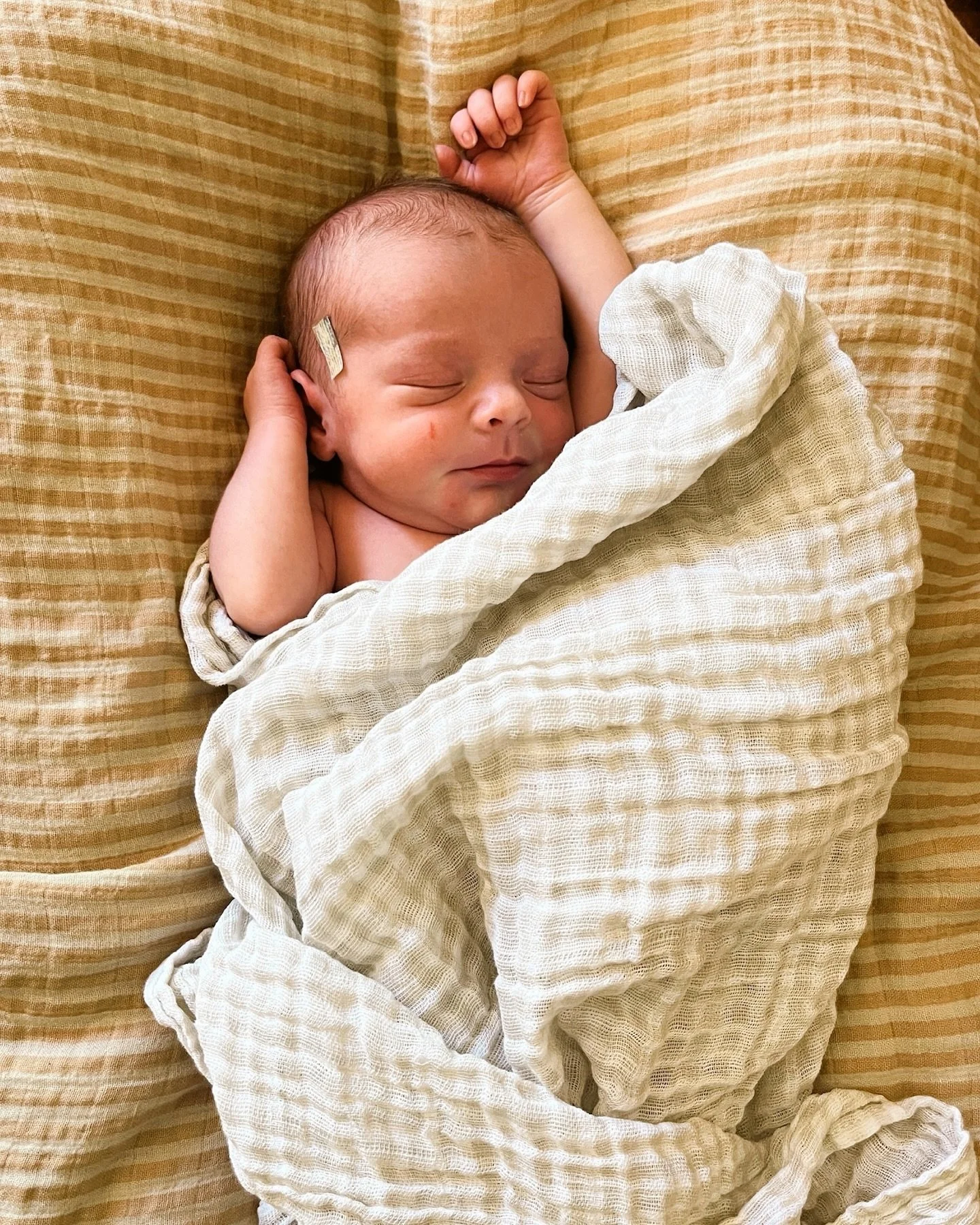 She&rsquo;s here! Meet Sienna Rose Sheldon, our teeny tiny girl, weighing just 5 lbs 6oz. We are absolutely smitten 🤍