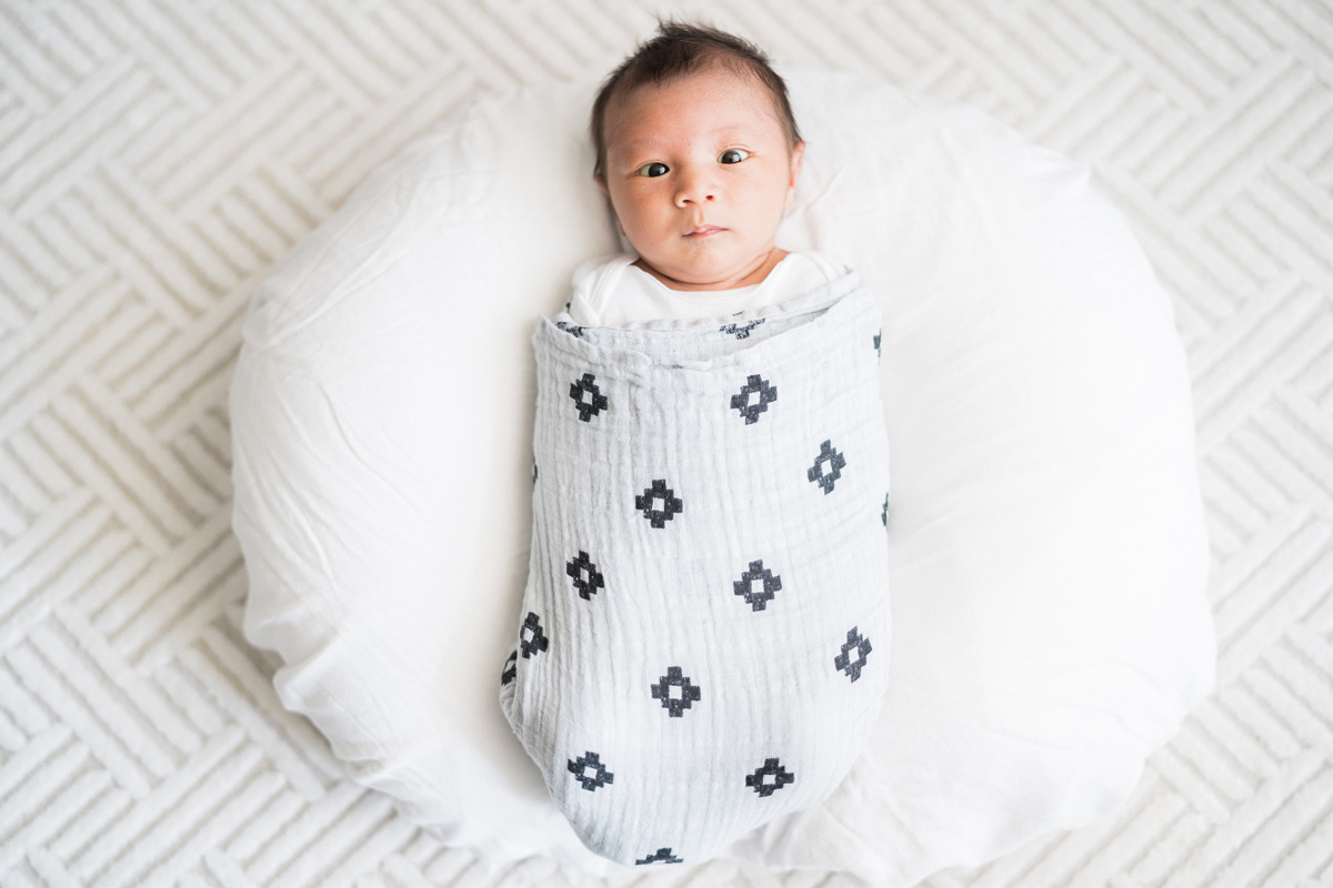 Chicago, IL. Newborn and family photography by Two Birds Photography. Classic, low-key, and natural. Serving Chicago and the suburbs.