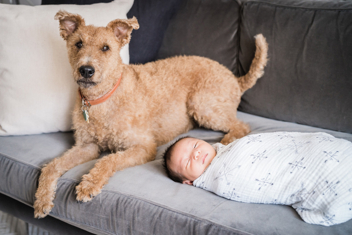 Chicago, IL. Newborn and family photography by Two Birds Photography. Classic, low-key, and natural. Serving Chicago and the suburbs.