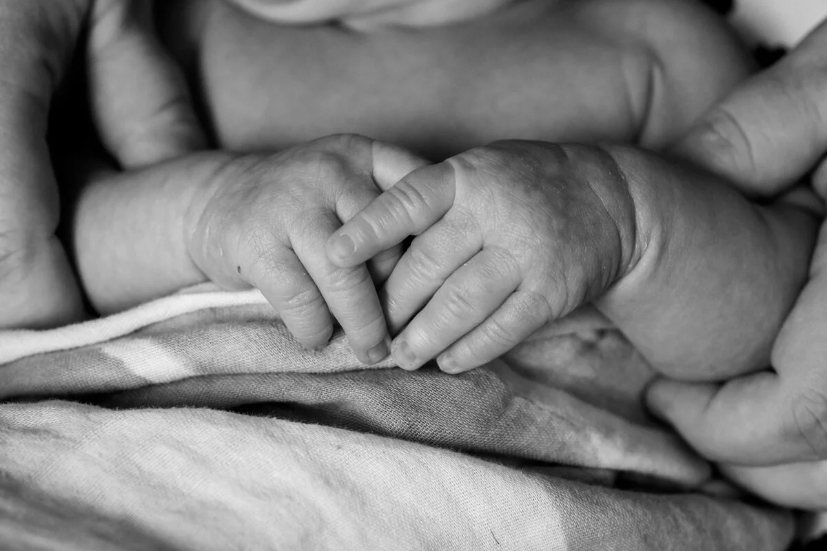 Family and newborn portrait photography by Two Birds Photography. Unique, bright, and happy. Serving Chicago and the suburbs. Image copyright Two Birds Photography 2021.