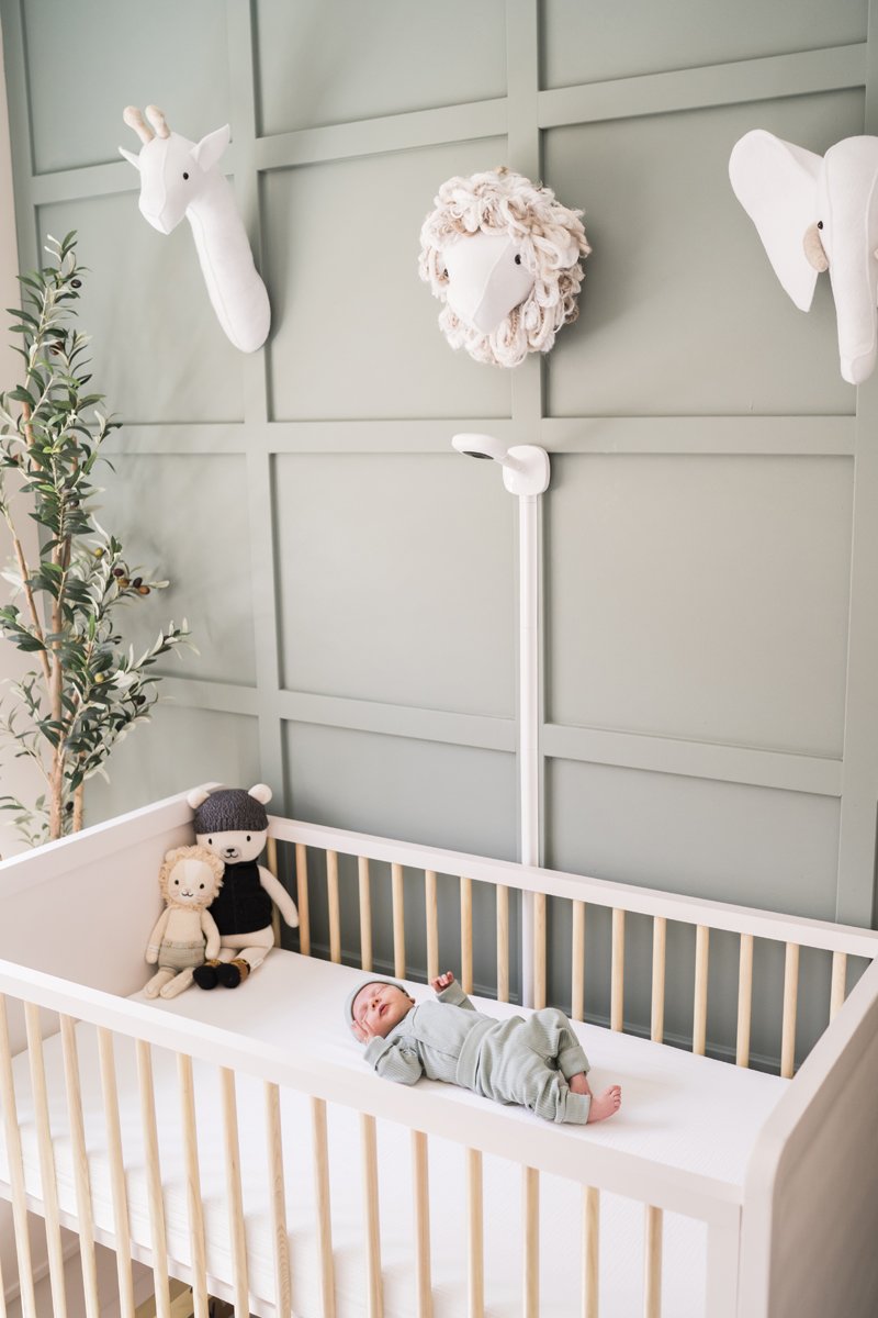 Newborn baby portrait photography by Two Birds Photography. Classic, bright, and happy. Serving Chicago and the suburbs. Image copyright Two Birds Photography 2025.
