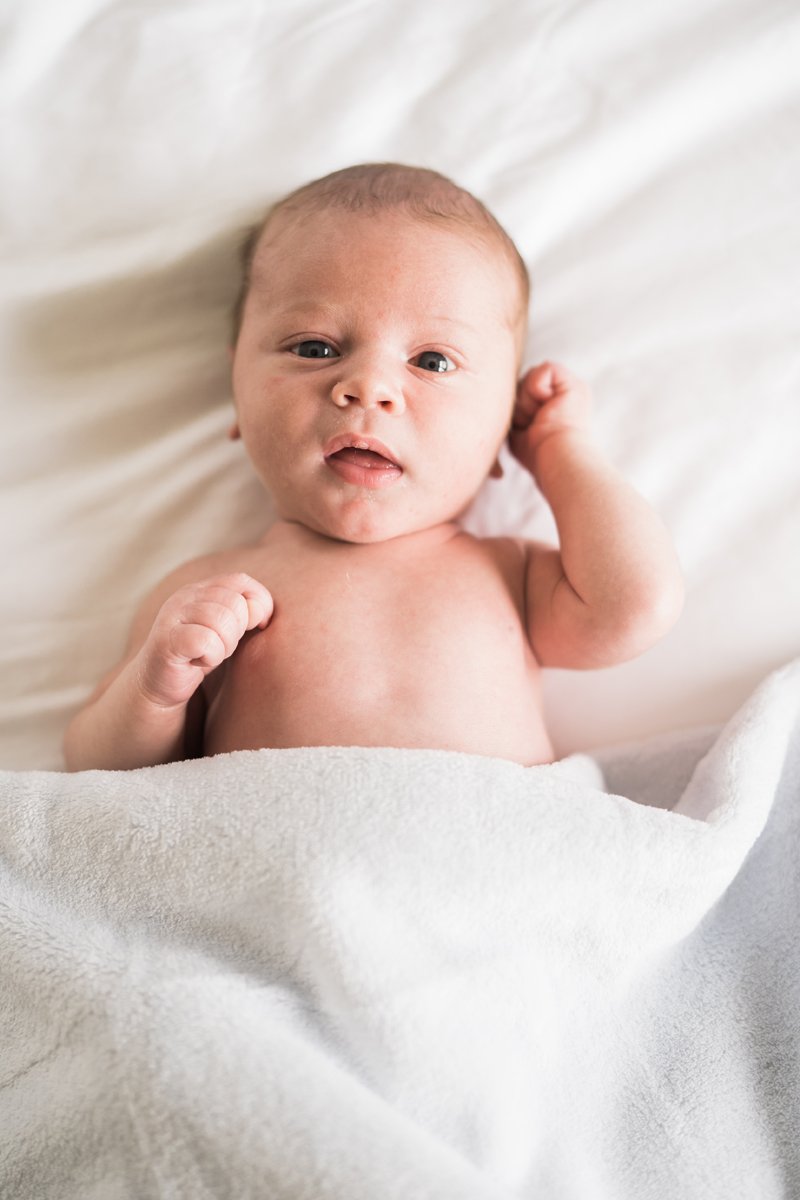 Newborn baby portrait photography by Two Birds Photography. Classic, bright, and happy. Serving Chicago and the suburbs. Image copyright Two Birds Photography 2025.