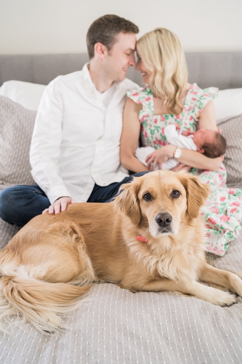 Newborn baby portrait photography by Two Birds Photography. Classic, bright, and happy. Serving Chicago and the suburbs. Image copyright Two Birds Photography 2025.