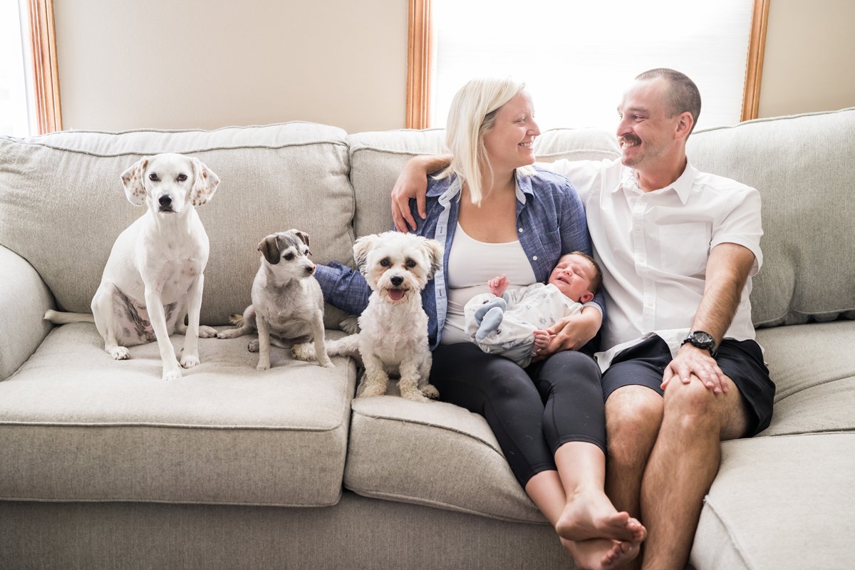 Newborn baby portrait photography by Two Birds Photography. Classic, bright, and happy. Serving Chicago and the suburbs. Image copyright Two Birds Photography 2025.