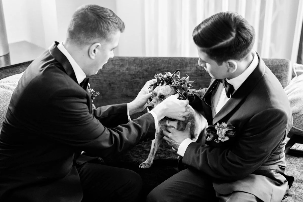 Wedding photography by Two Birds Photography. Unique, bright, and happy. Serving Chicago and the suburbs. Image copyright by Two Birds Photography 2023.