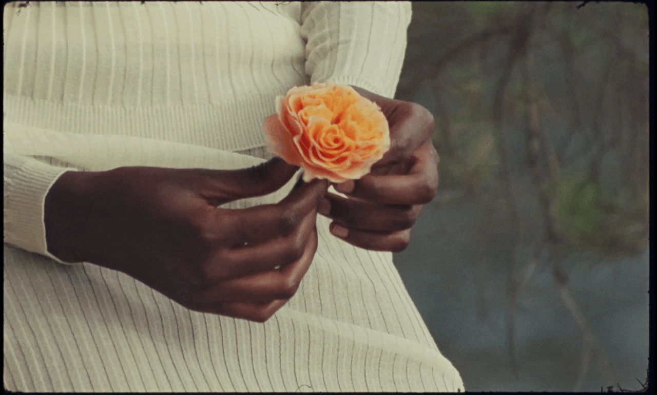 Lanvin_02 2.gif