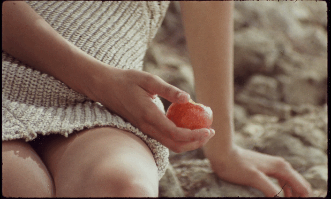 lanvin_07 2.gif