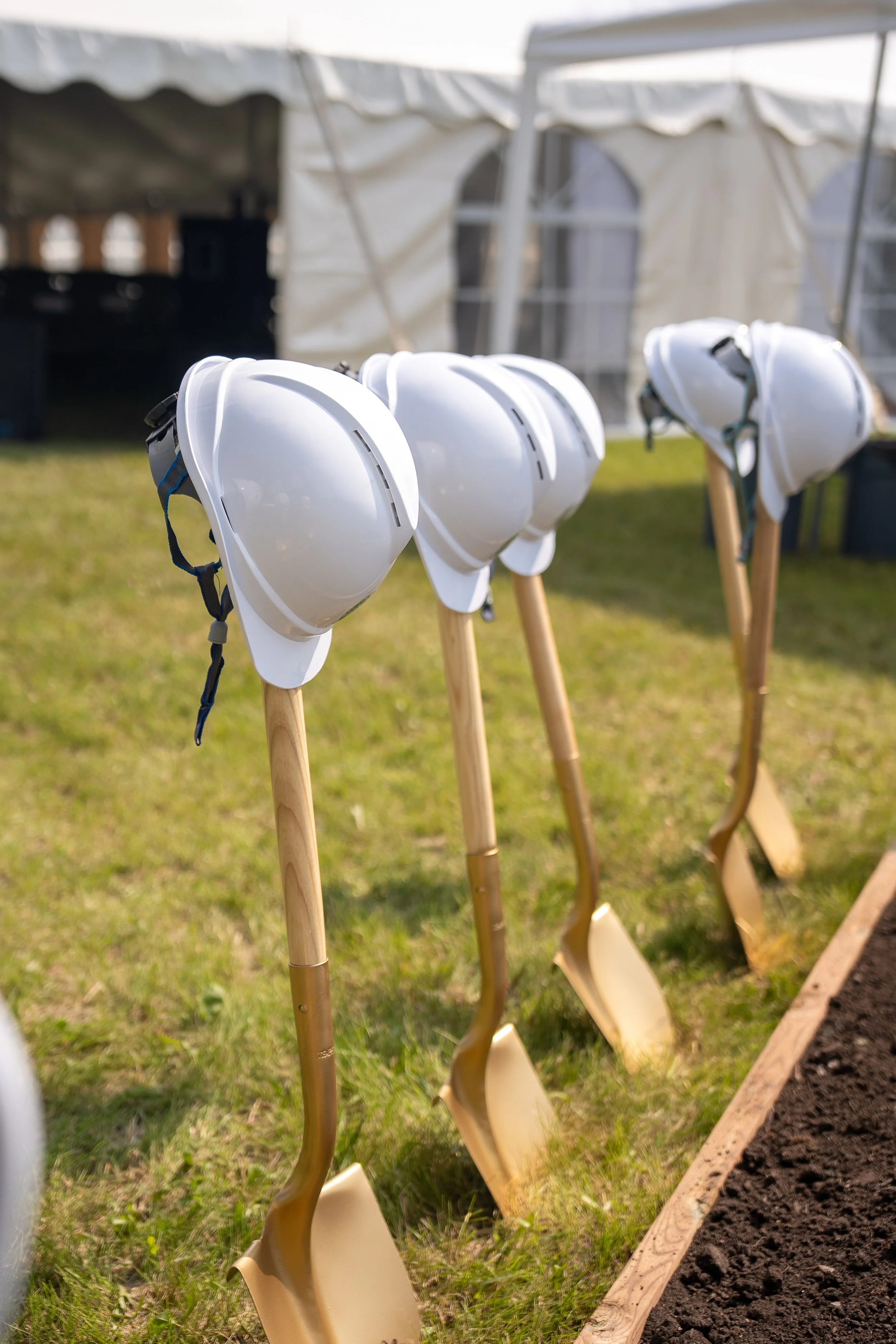 Several white hard hats with black straps hanging on light-colored shovels, positioned upright on green grass next to a garden bed with dark soil and a wooden border, under a white canopy or tent.