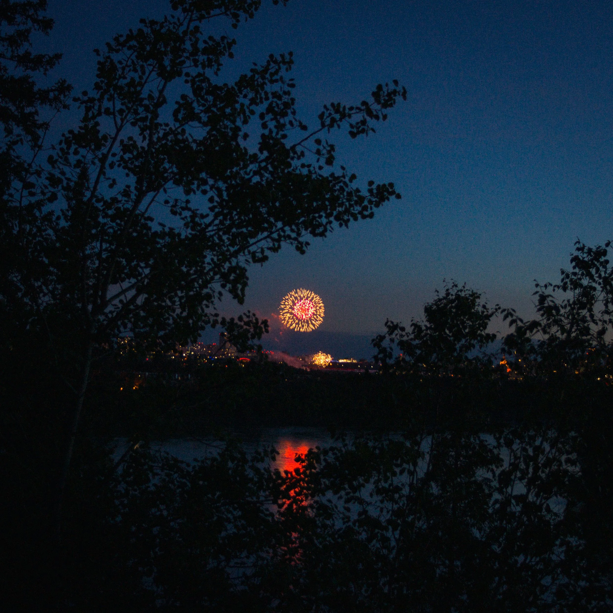 Fireworks display over a dark sky with silhouettes of trees in the foreground.