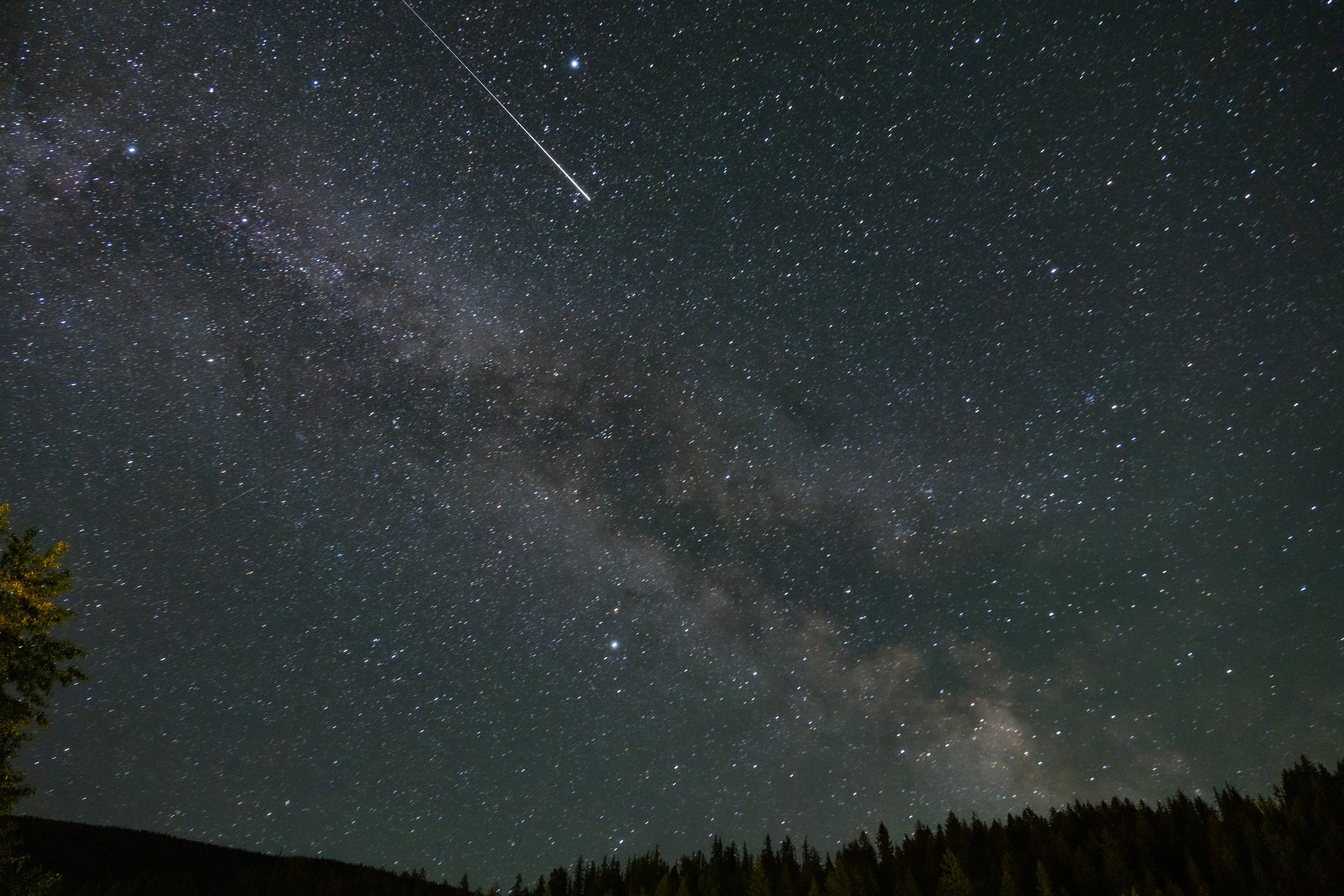 Night sky filled with stars, including a shooting star and a visible part of the Milky Way galaxy, with treetops and a landscape at the horizon.