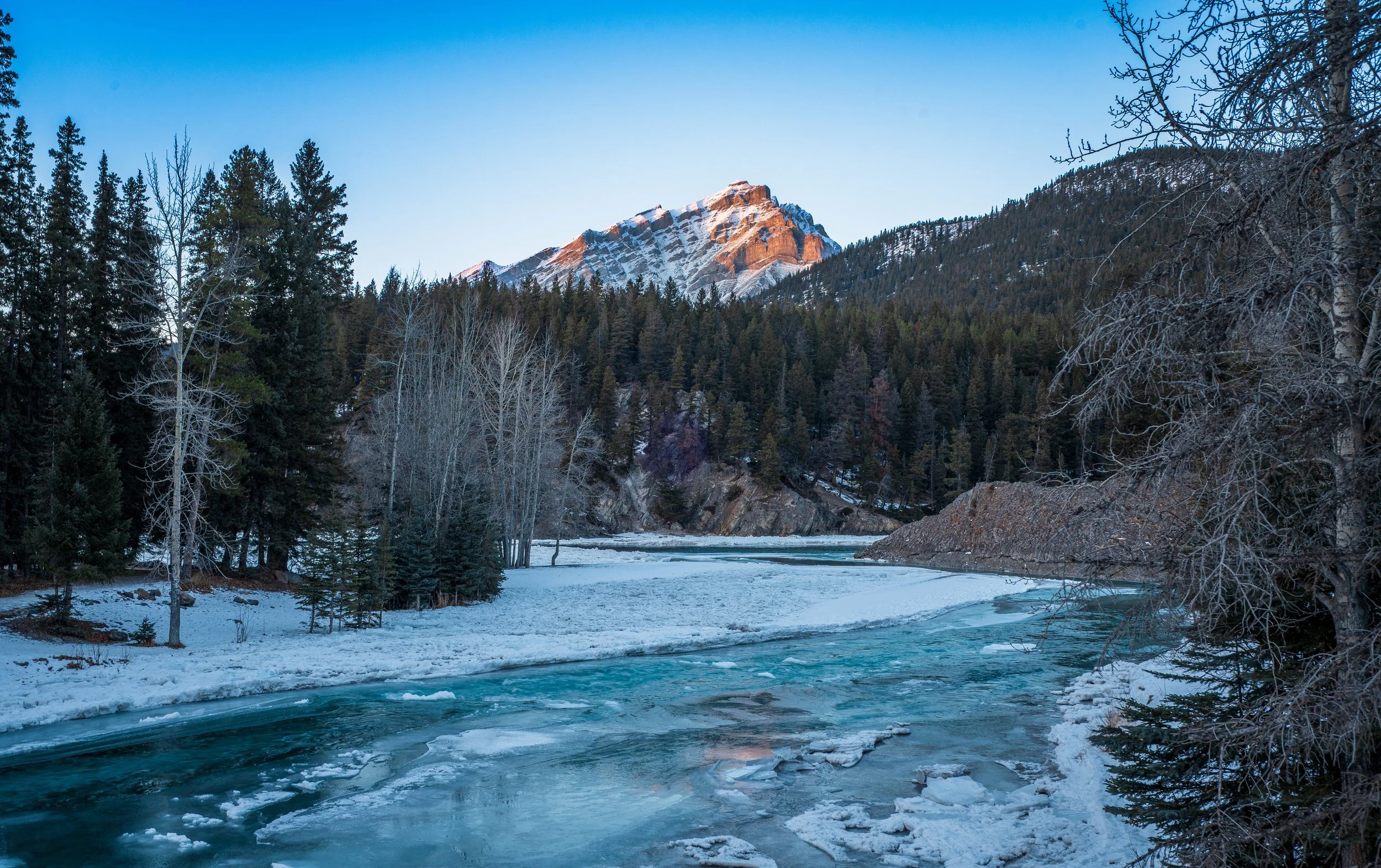 Snow-covered landscape with a partially frozen river, dense evergreen trees, and a mountain with snow on top in the distance under a clear blue sky.