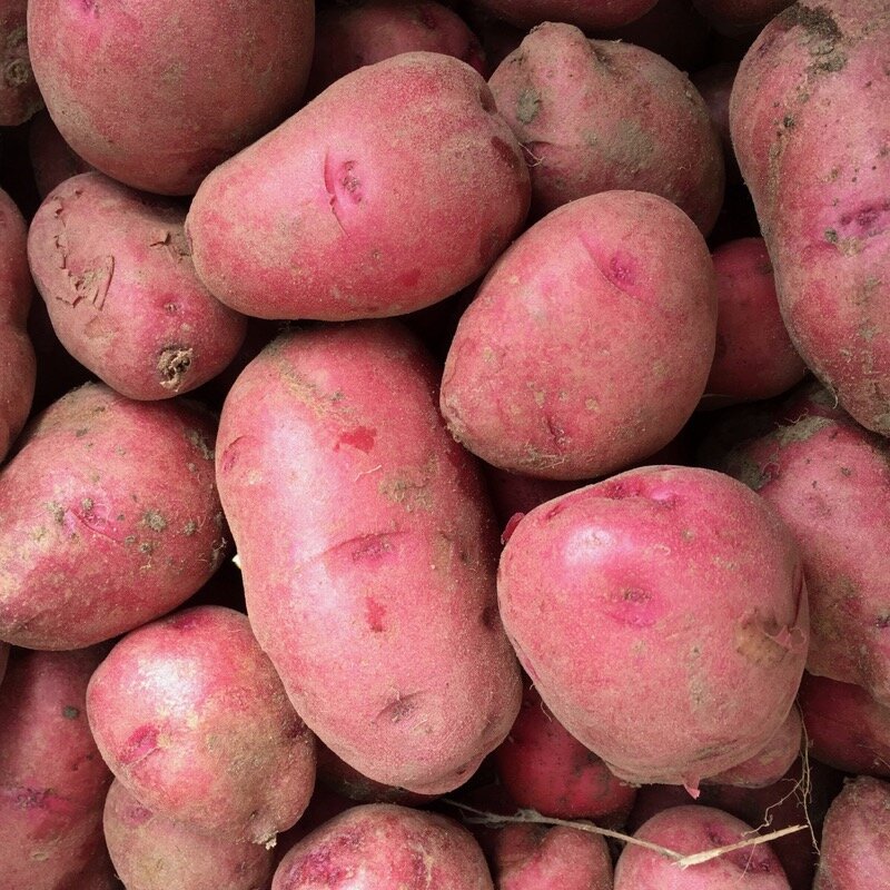 PotatoesAllRed.jpg