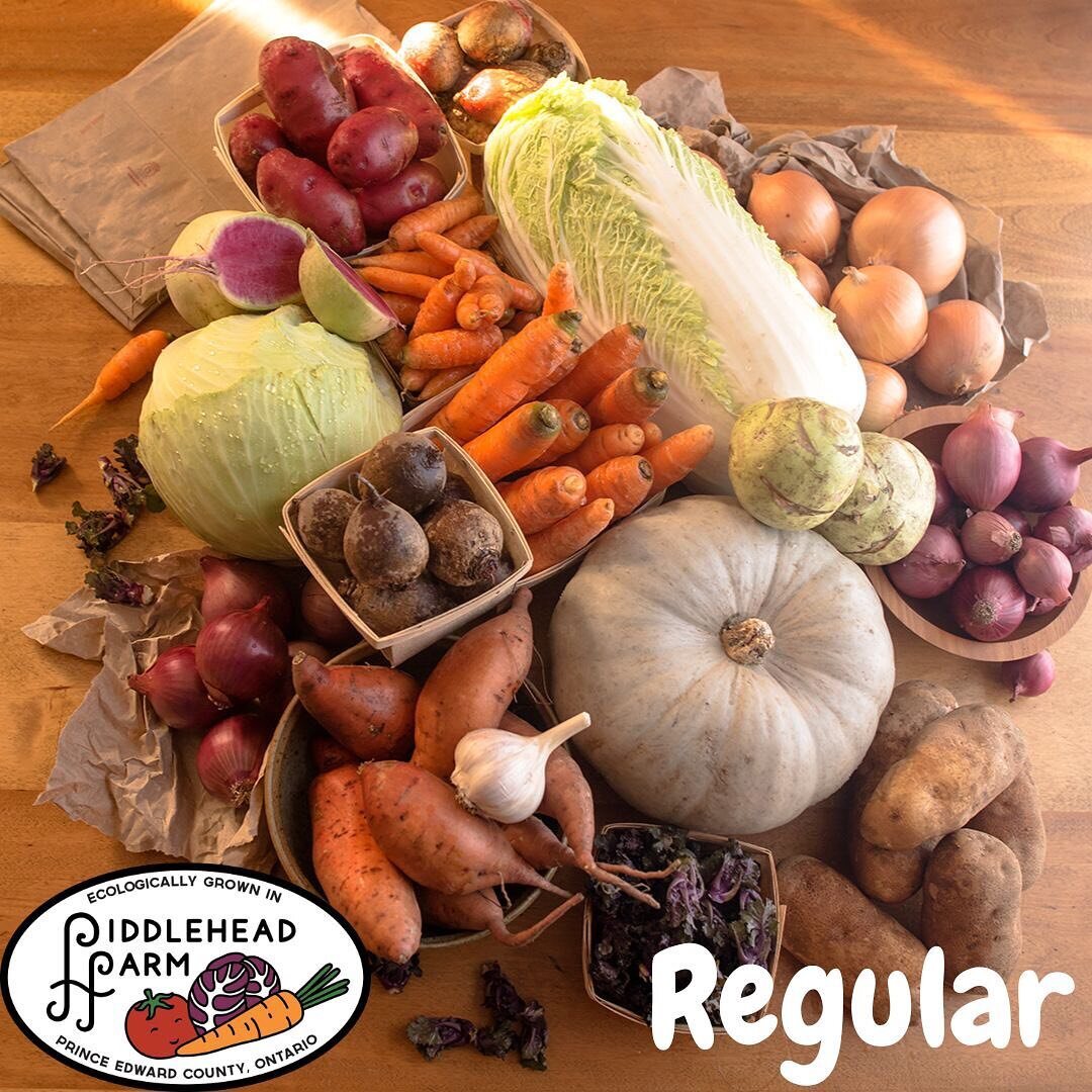 Memberships now available for our customizable Winter monthly boxes of local deliciousness, all grown on our farm. From sweet potatoes to fresh lettuce, and cabbage to frost sweetened carrots. Small $55/mo and Reg $85/mo with pick ups throughout PEC,