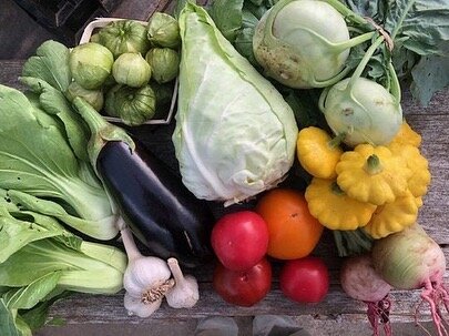 Bounty of the gardens season! Ordering open all weekend for pick ups next week :) Watermelons, red peppers, tomatoes and tomatillos, greens and roots, onions and garlic&hellip; it&rsquo;s feasting season 😋