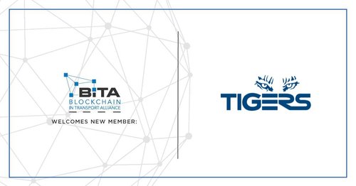 BiTA + Tigers.jpeg