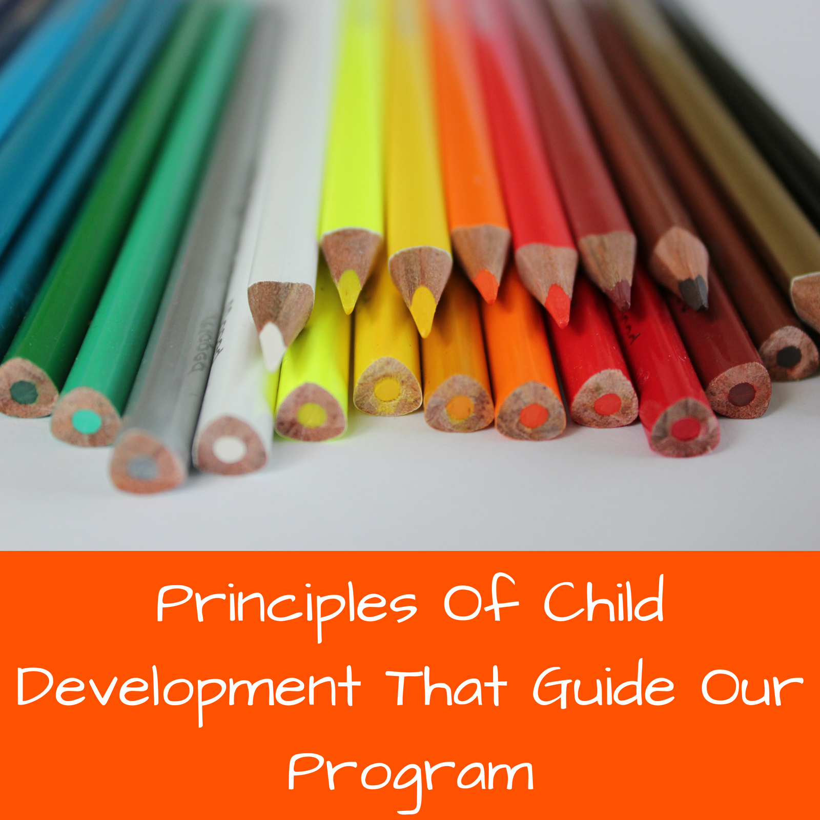 Principles Of Child Development LOGO.png