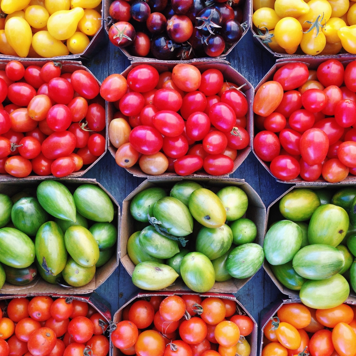 Montreal_tomatoes-1200x1200.jpg