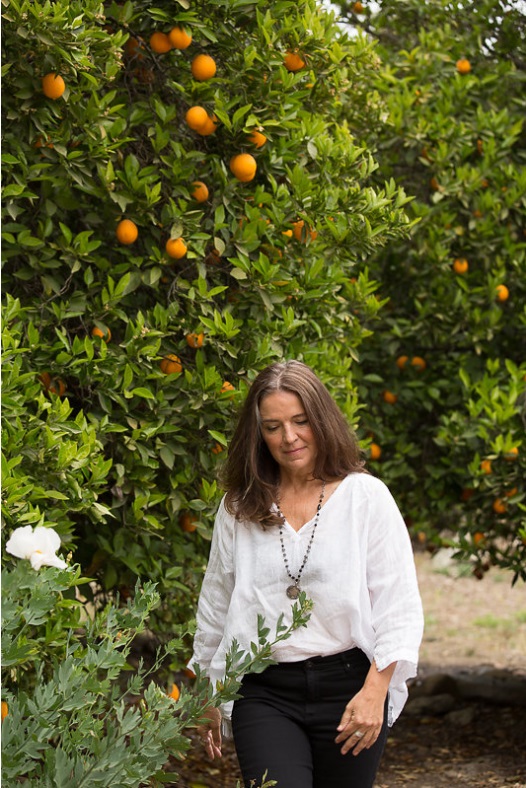 Ojai orange orchards.jpg