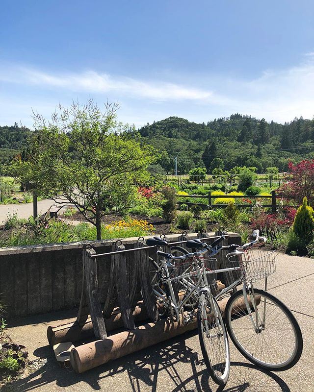 The dreamiest day biking from our beautiful weekend abode @h2hotel through the breathtaking landscape of Healdsburg 🌾🌿 No better way to spend a Saturday than vineyard + restaurant hopping, sampling the best food and wine from the region 🍷🍽🙏🏻 Th