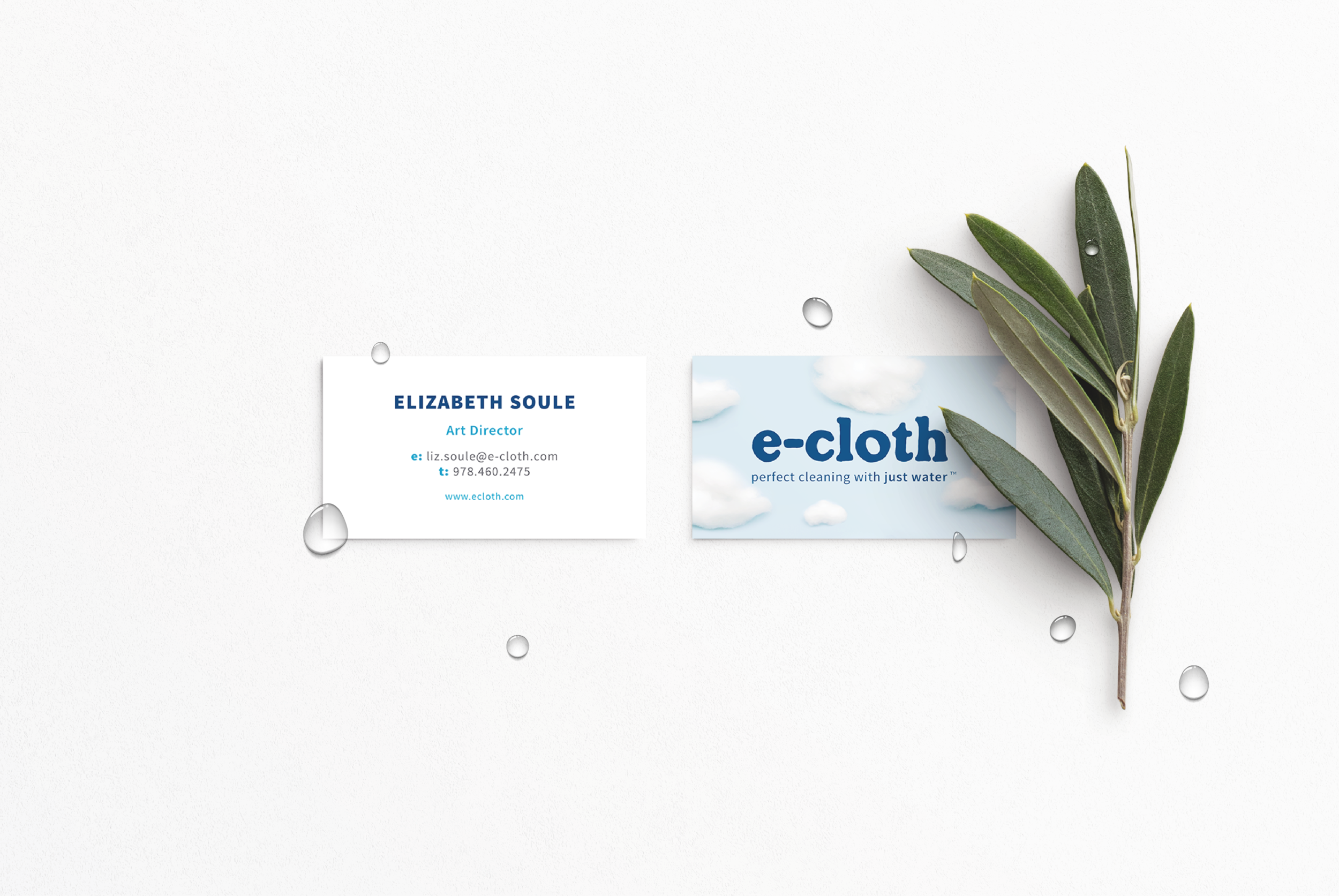 liz business cards_drops-01.png