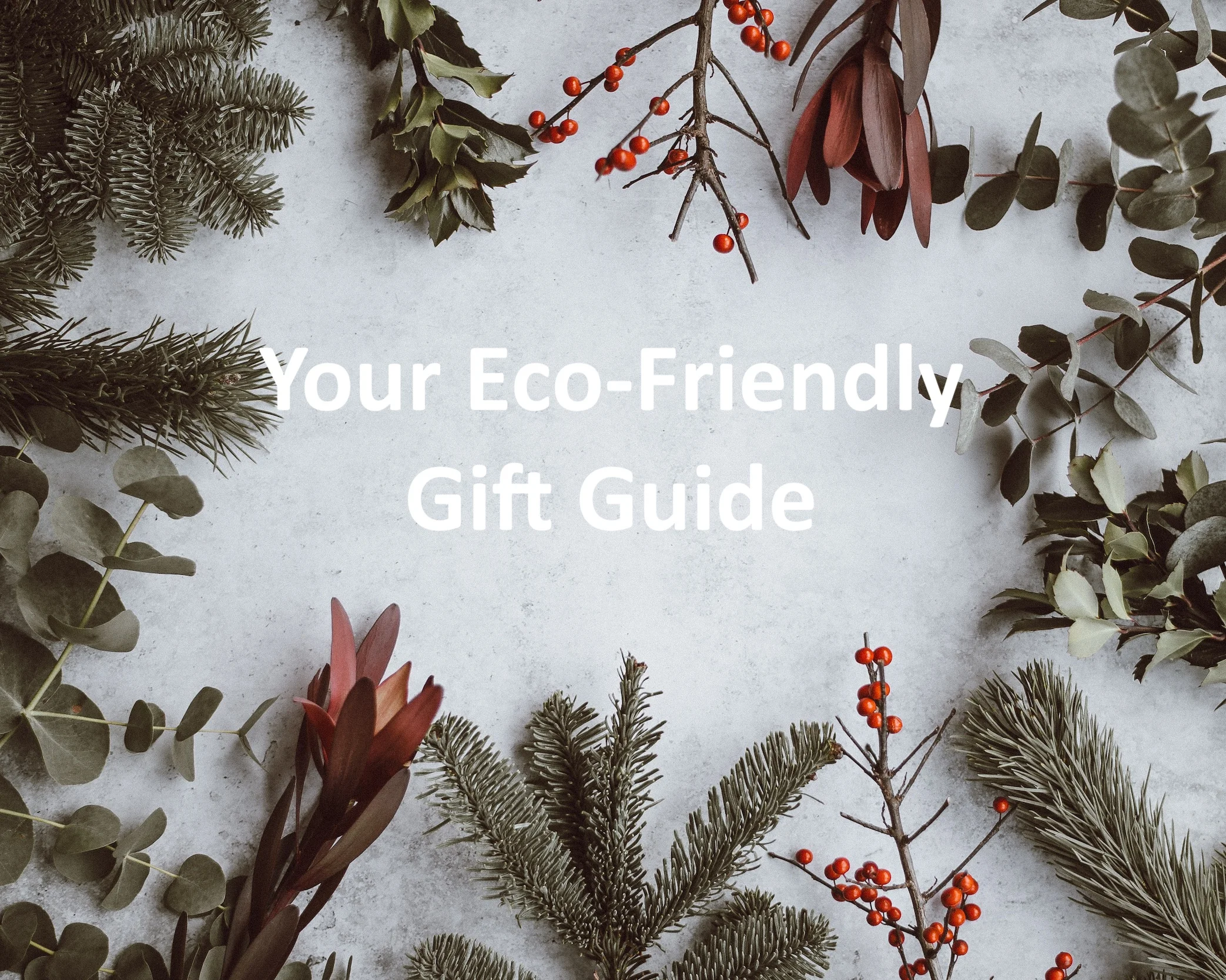 YOUR ECO-FRIENDLY HOLIDAY GIFT GUIDE