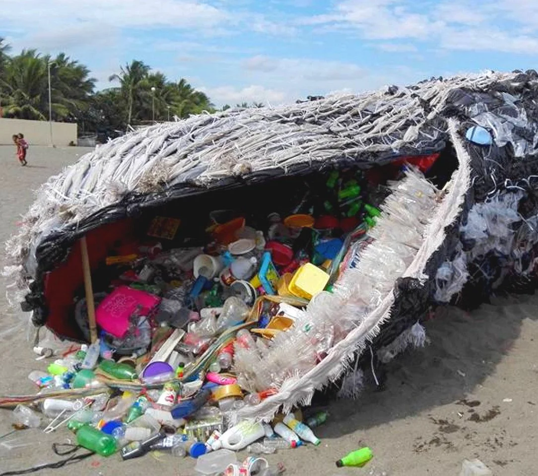 TACKLING PLASTIC POLLUTION—HOW TO START TODAY