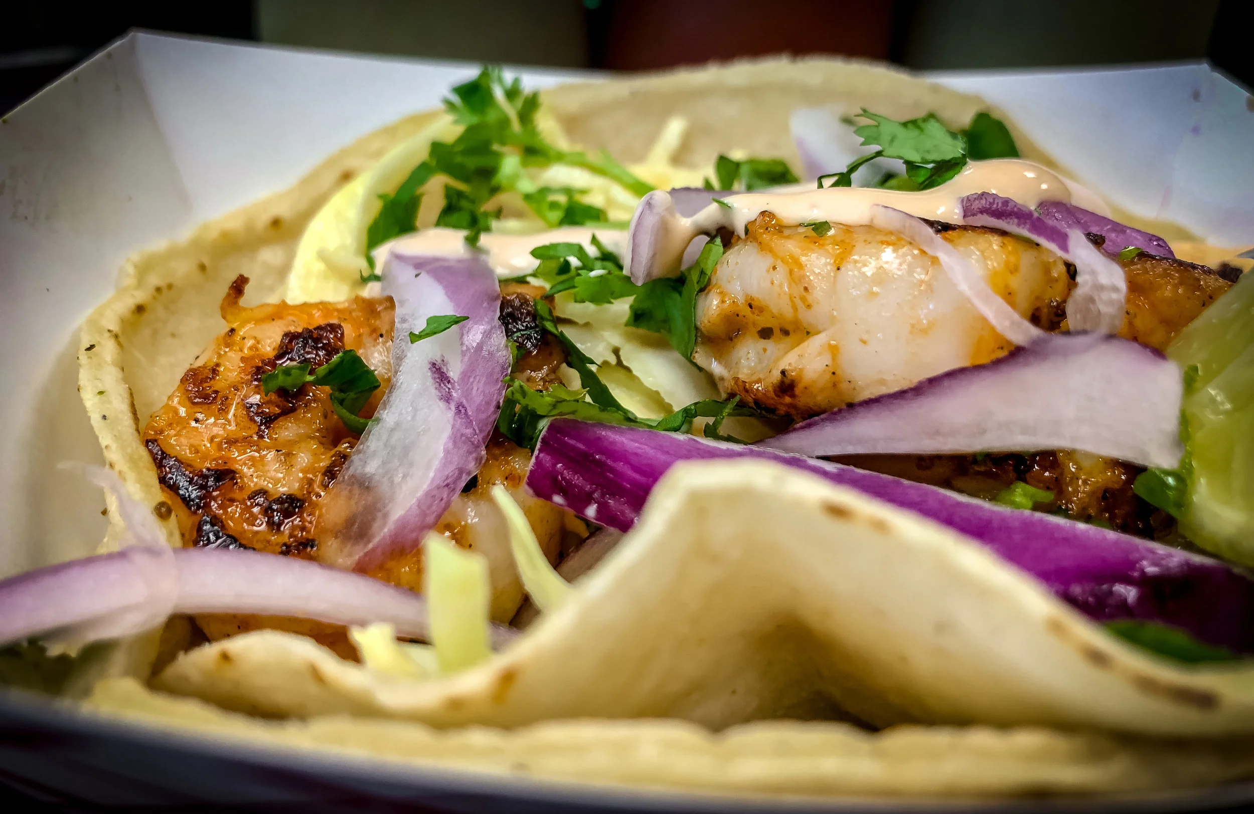 pt_taco-ssam - 9.jpg