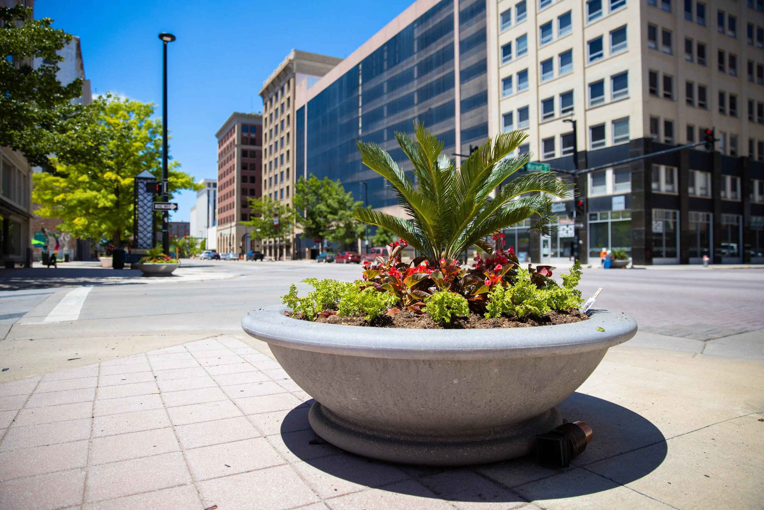 FlowersOnDouglas_051720_030.jpg